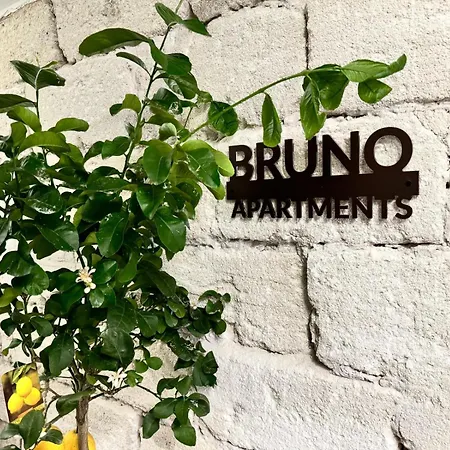 Bruno * Trapani